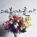 나는꽃 - 강남구 | 나는꽃