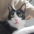 쿨펫동물병원 이마트금정점 이미지