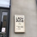 레이디벅스 이미지