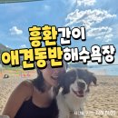 흥환1리 간이해수욕장 화장실 | 포항 애견동반 해수욕장 흥환간이해수욕장 찐후기