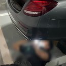 와이원모터스 이미지