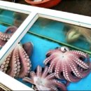 영주상회 이미지