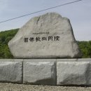 김집