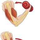 에이앤프리햅 이미지