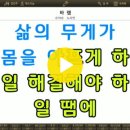 MR - 바램/노사연 이미지