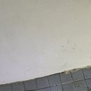어울림세탁 이미지