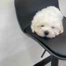 용현전자담배 이미지