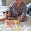 국궁장 | 장기퍼즐 만들기/호세가 좋아하는 영어 과학책 소개/분당 율동공원/영어서점 키즈북세종 *臓器パズル手作り