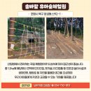 솔바람 유아숲체험원 이미지