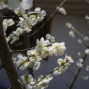 향교4로 이미지