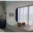 까멜리아 이미지