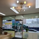 편백숲족욕# 네이버블로그