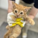 서면종합카센타 이미지