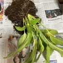 GS25 분당한진타운점 이미지