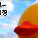 덕