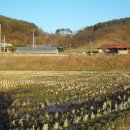 우평농장 이미지