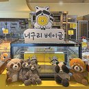 너구리 | 합정 저당 베이글 맛집 너구리베이글 내돈내산 후기