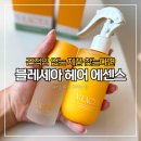 헤어 에센스 오일 차이 직접 써보고 느낀 블라세아 비베사 후기