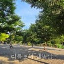리틀보이 - 화성시 | 리틀보이 캠핑장 선택 전 볼 핵심 정보