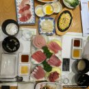 구구참치