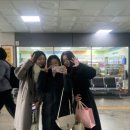 애플꼬마김밥홍성