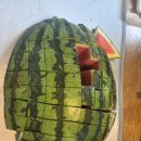 혜숙야채 이미지