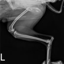 둔산동물병원 이미지