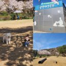 안양교도소 운동장 화장실 | 안양 무료 애견공원|삼막애견공원후기,서울근교무료애견운동장(feat.삼막커피)