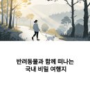 인제군 공공재활용선별시설 | 반려동물과 함께 떠나는 국내 비밀 여행지 BEST 5