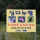 심다누팜 이미지