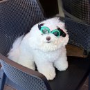 참새미골 | 팔공산 계곡 식당 참새미골 솔직 후기와 팁