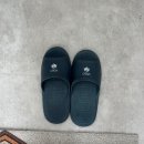 김밥천국화봉점 | 울산 화봉동 두피 관리 잘하는곳 두피 디톡스 “올가드림뷰티 화봉점”