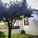 금능이모네 이미지