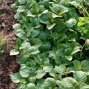 농부의 아침 이미지