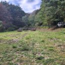 송백공인중개사사무소 이미지