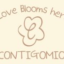 꼰띠고2 이미지