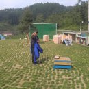 애견친구 이미지