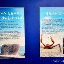 대게유래비(거일2리) 이미지