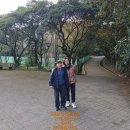 3월달 제주도 올레길 여행 이미지