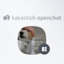 레볼루션애견 네이버블로그