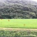 부근2리 새마을회관
