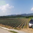 창촌초 운두분교장 이미지