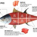 민영참치