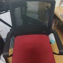 제일컴퓨터세탁 | 여름철 땀냄새 밴 메쉬 컴퓨터 의자 구멍에 낀 먼지와 찌든 때까지 완벽 청소하는 법