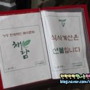 충남삼초