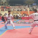 용인대 마북 태권도 이미지