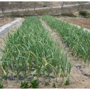 석천농장 이미지