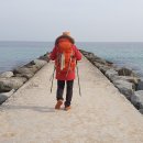 하조대 텔 이미지