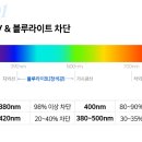 다비치안경밀양점 이미지