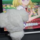 멍반장 | 여섯 달 동안 아무 일도 하지 않고 그냥 놀았다고? / 그래.